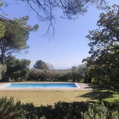 Sofia Villa *